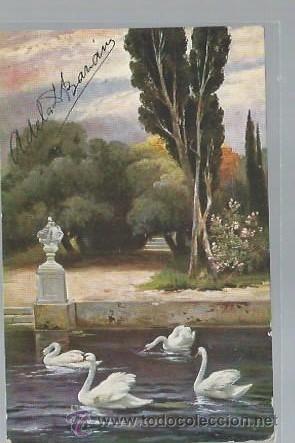 Postais: TARJETA POSTAL ANIMALES, CISNES, SERIES 1164