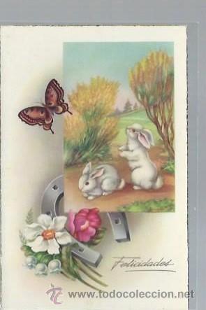 Postais: TARJETA POSTAL ANIMALES, FELICIDADES, C Y Z 532
