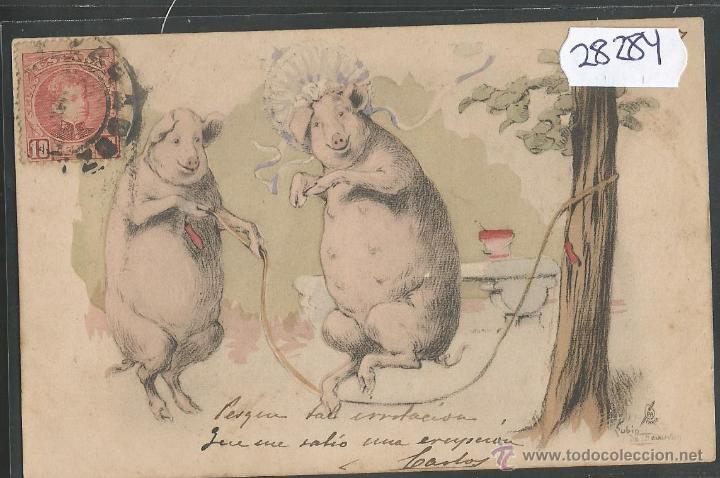 Postais: POSTAL CERDOS - CERDITOS - ILUSTRADA - REVERSO SIN DIVIDIR - (28284)