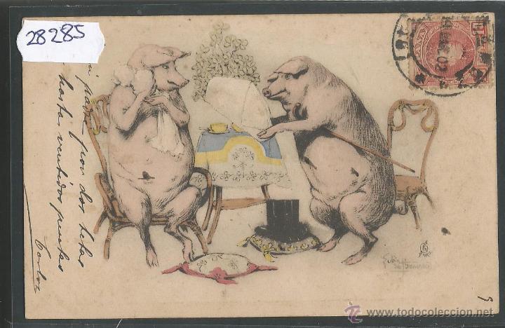 Postais: POSTAL CERDOS - CERDITOS - ILUSTRADA - REVERSO SIN DIVIDIR - (28285)