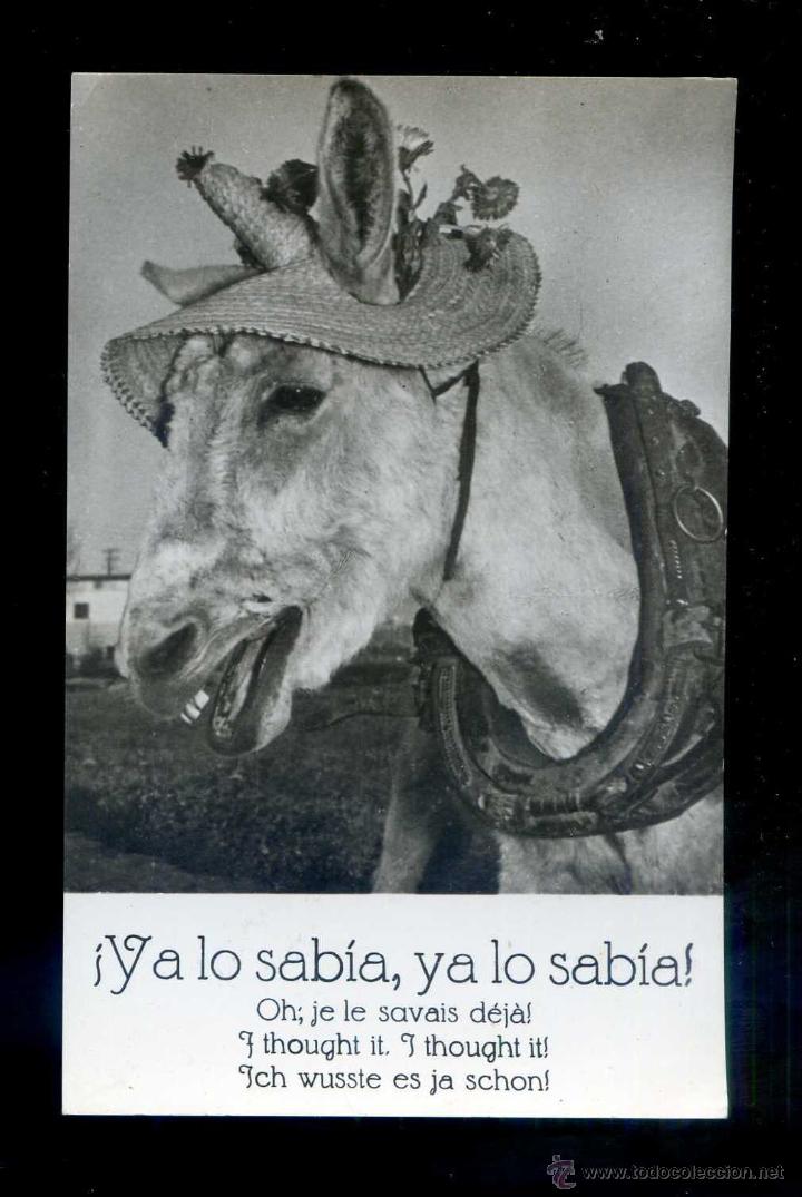 Postais: *&iexcl;Ol&eacute;! Espa&ntilde;a* Ed. Mundi n&ordm; 4. Nueva.