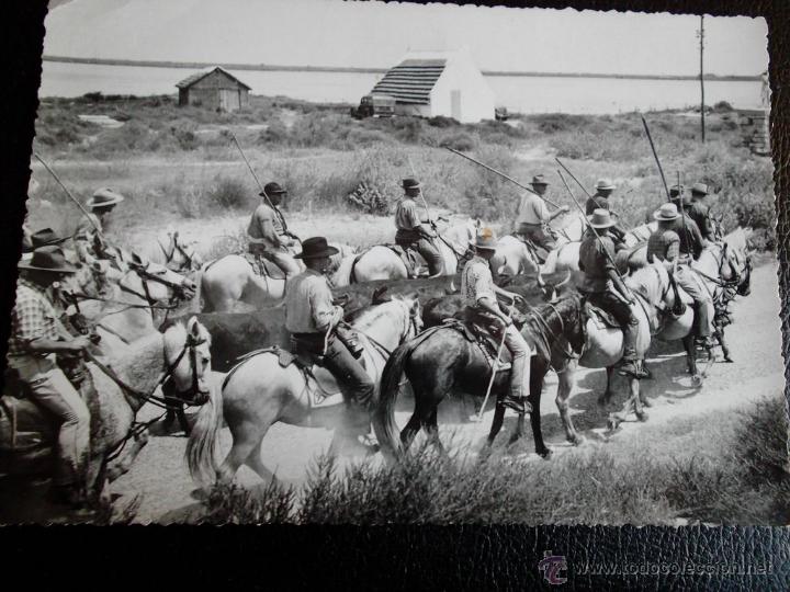 Postais: Gardians et Taureaux en Alrivado. Postal francesa. Caballos. Nueva