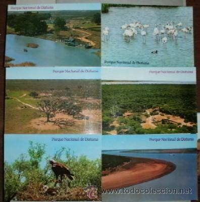 Postais: POSTALES DEL PARQUE NACIONAL DE DO&Ntilde;ANA. COL. DE 12 POSTALES   P-ANI-003