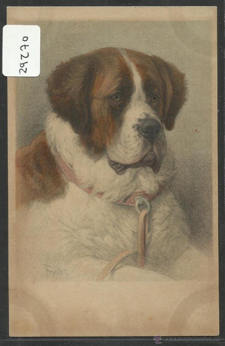 Postais: POSTAL DE UN PERRO - PERROS - (29270)