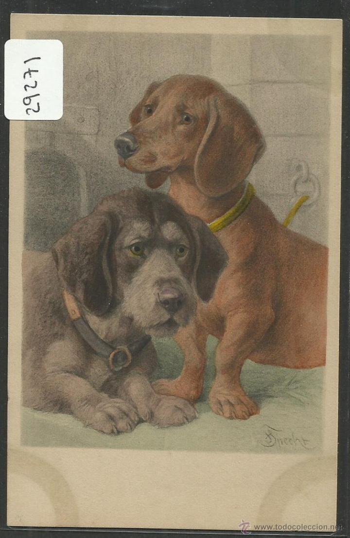Postais: POSTAL DE UN PERRO - PERROS - (29271)
