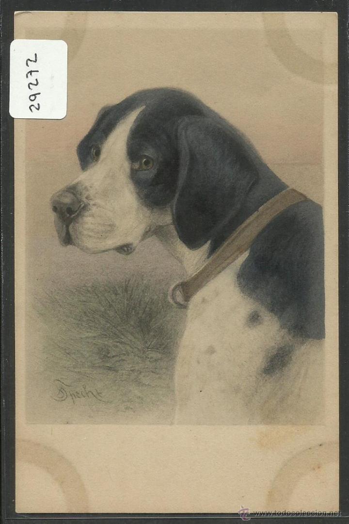 Postais: POSTAL DE UN PERRO - PERROS - (29272)