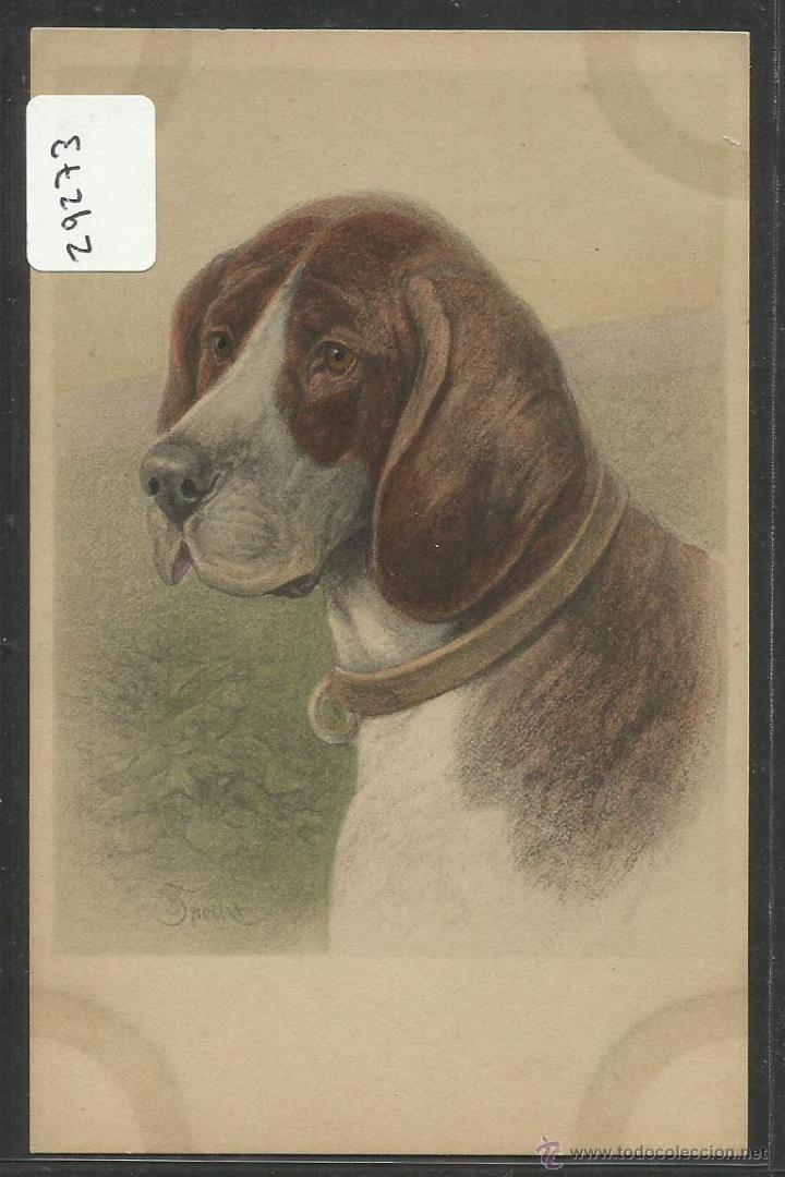 Postais: POSTAL DE UN PERRO - PERROS - (29273)