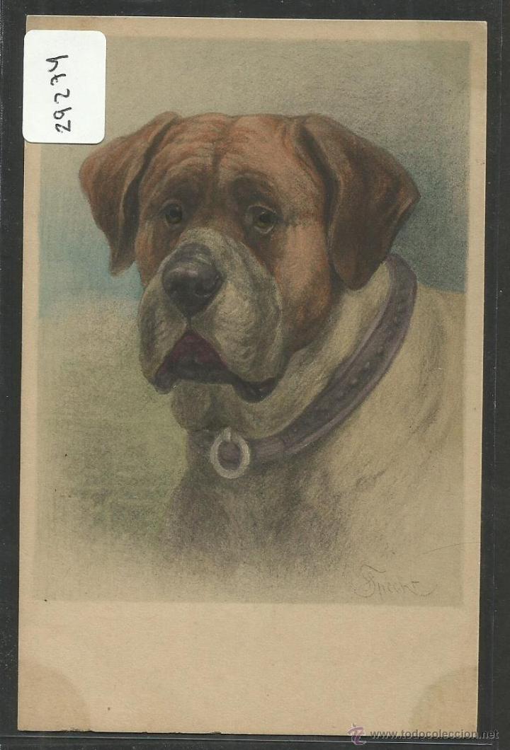 Postais: POSTAL DE UN PERRO - PERROS - (29274)
