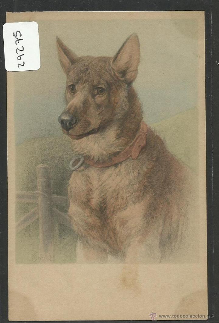 Postais: POSTAL DE UN PERRO - PERROS - (29275)