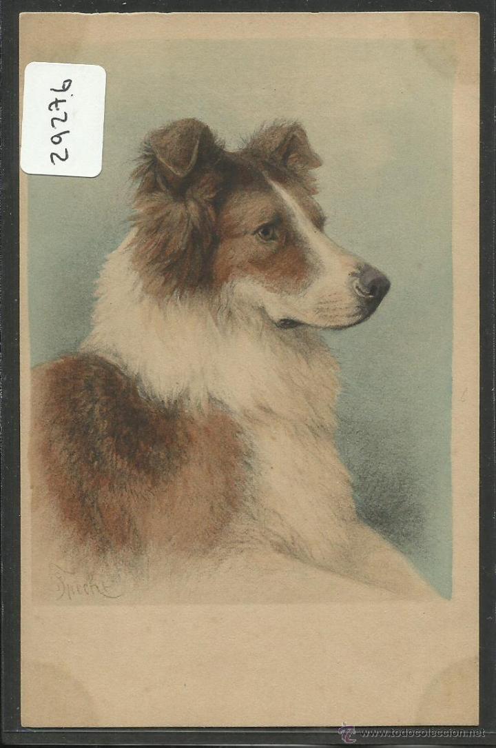 Postais: POSTAL DE UN PERRO - PERROS - (29276)