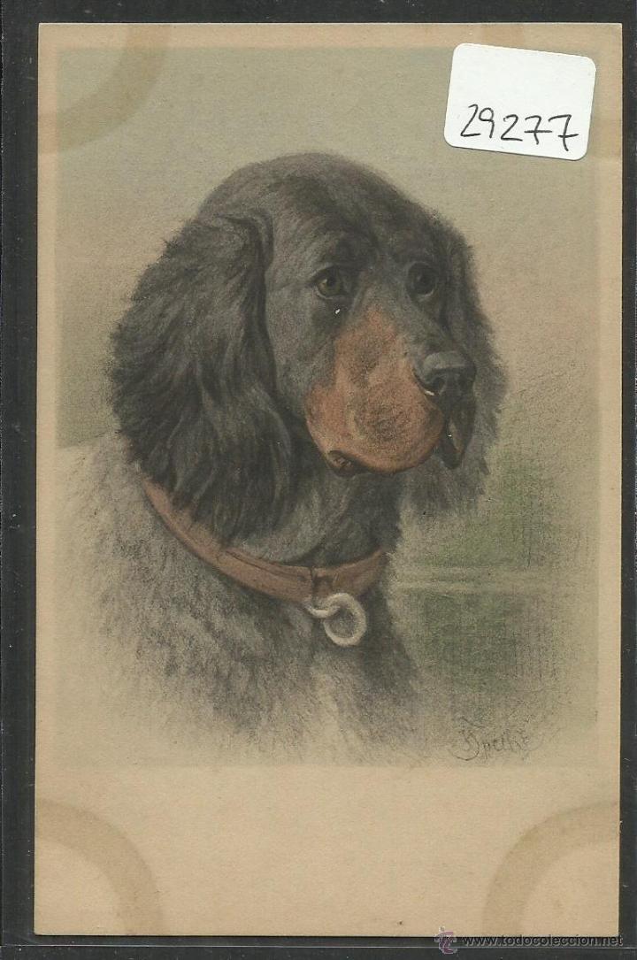 Postais: POSTAL DE UN PERRO - PERROS - (29277)