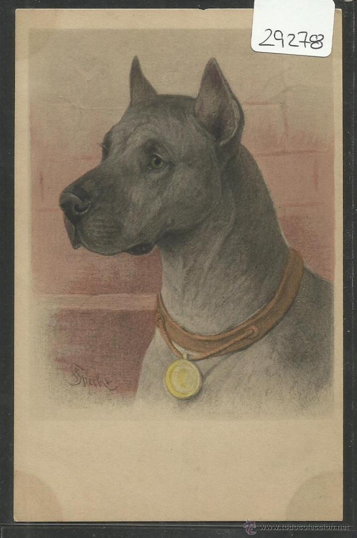 Postais: POSTAL DE UN PERRO - PERROS - (29278)