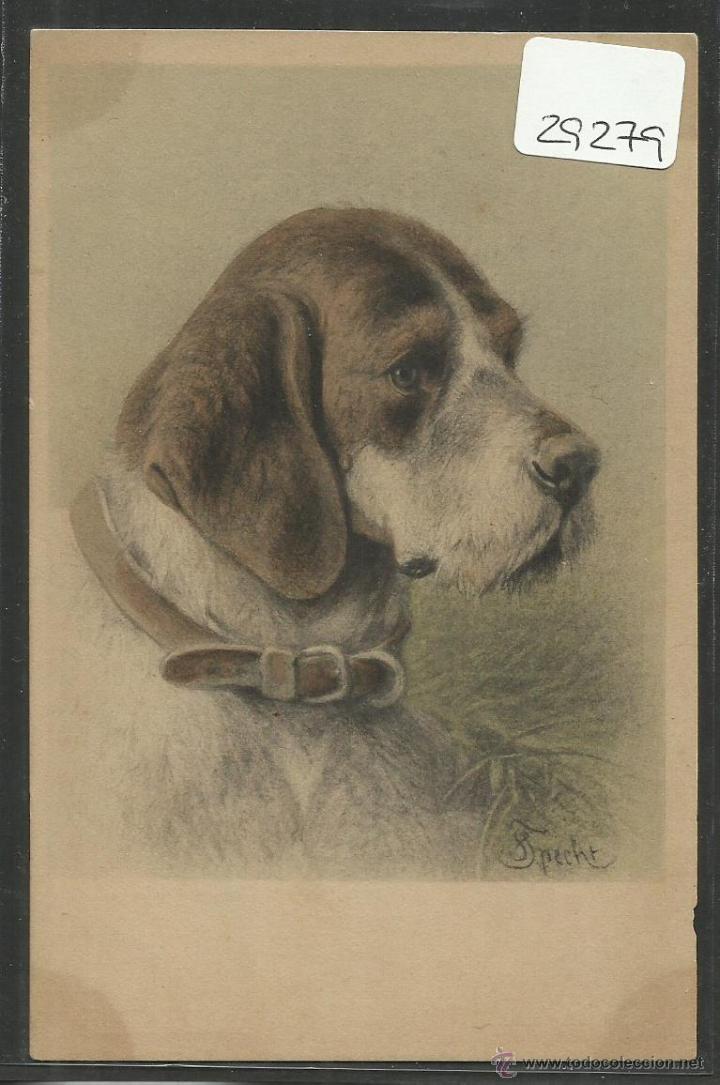 Postais: POSTAL DE UN PERRO - PERROS - (29279)