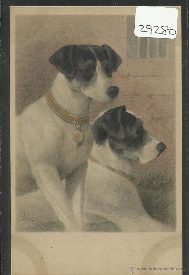 Postais: POSTAL DE UN PERRO - PERROS - (29280)