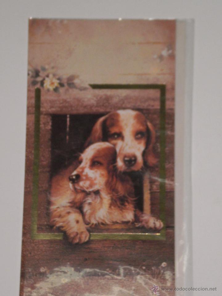 Cartes Postales: POSTAL ANTIGUA A ESTRENAR CON SOBRE , EDICIONES BUSQUETS-MOTIVO PAREJA DE PERROS