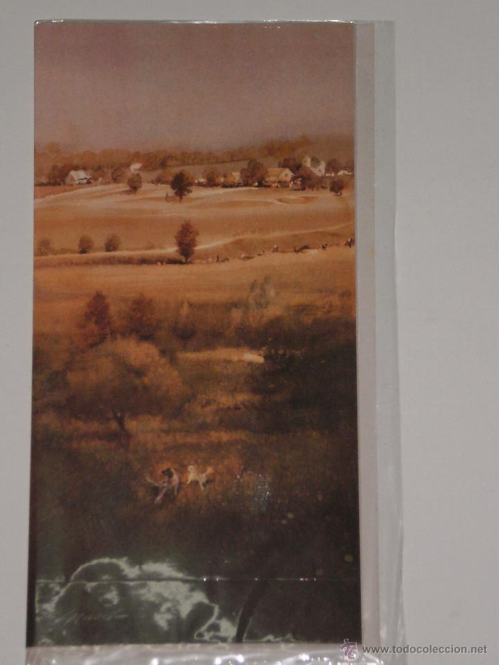 Postales: POSTAL ANTIGUA A ESTRENAR CON SOBRE , EDICIONES BUSQUETS-MOTIVO PERROS DE CAZA