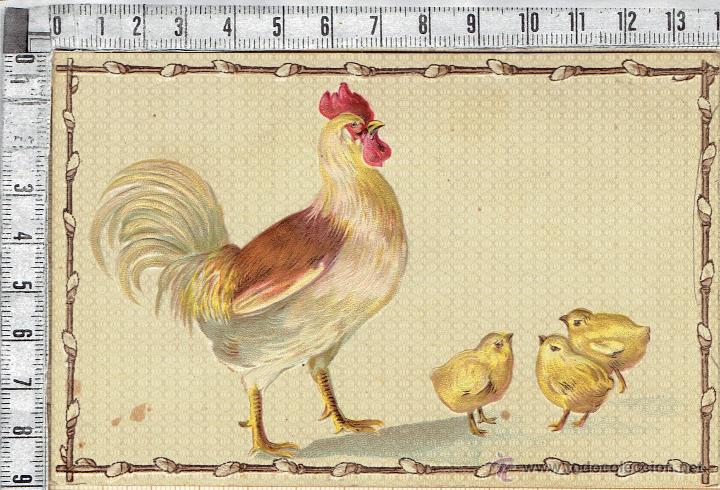 Postais: POSTAL IMAGEN EN RELIEVE DE POLLITOS Y GALLO-1930-40