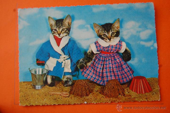 Postais: POSTAL - GATOS - KUGER - CIRCULADA