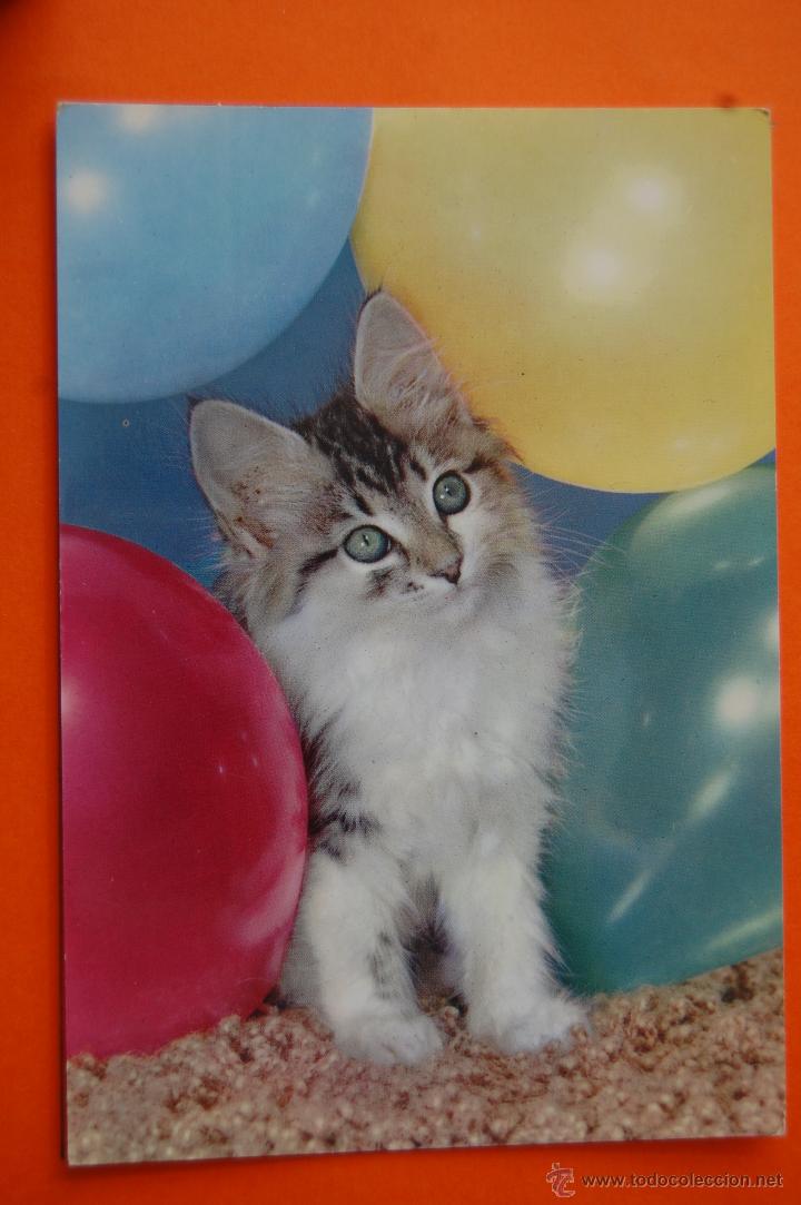 Postais: POSTAL - GATOS CYZ SERIE 6318 - - CIRCULADA EN 1970