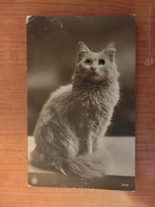 Postais: POSTAL ALEMANA DE GATO CON OJOS VERDES PEGADOS. ESCRITA 1914.
