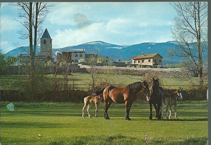 Postais: 3   POSTALES   DE  CABALLOS -2  SIN CIRCULAR NUEVA