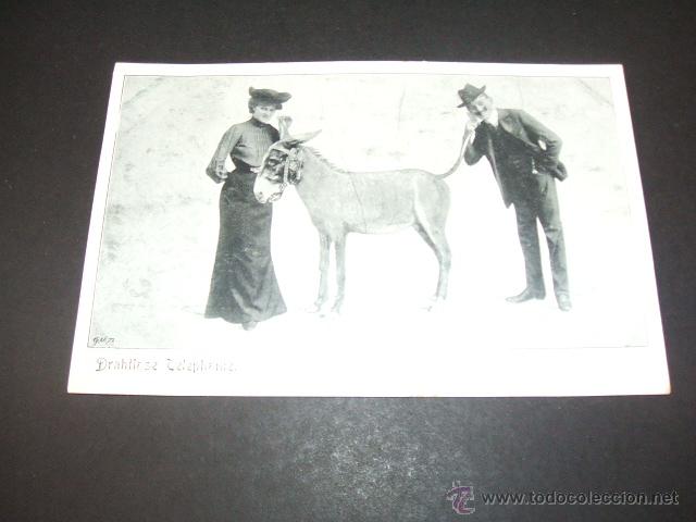 Postales: BURRO POSTAL ANTERIOR A 1905 - Foto 1