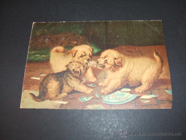 Postales: PERROS POSTAL ANTERIOR A 1905 - Foto 1