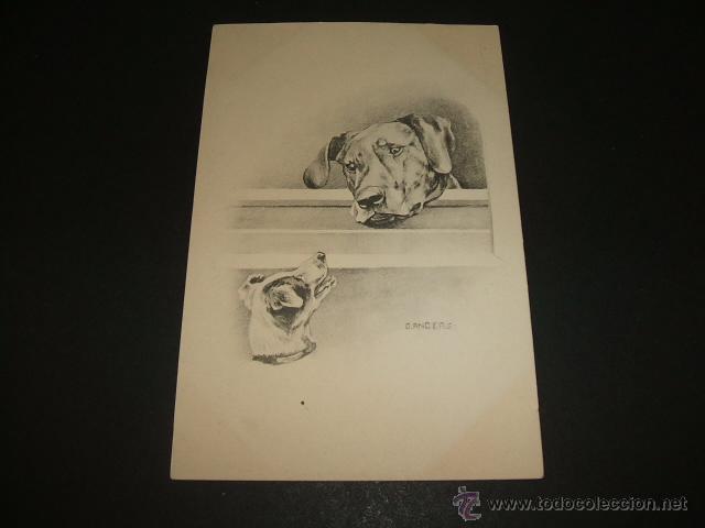 Postales: PERROS POSTAL ILUSTRADA ANTERIOR A 1905 - Foto 1