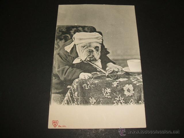 Postales: PERRO DISFRAZADO POSTAL ANTERIOR A 1905 - Foto 1