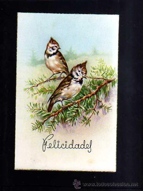 Postcards: Postal con p&aacute;jaros. Circulada