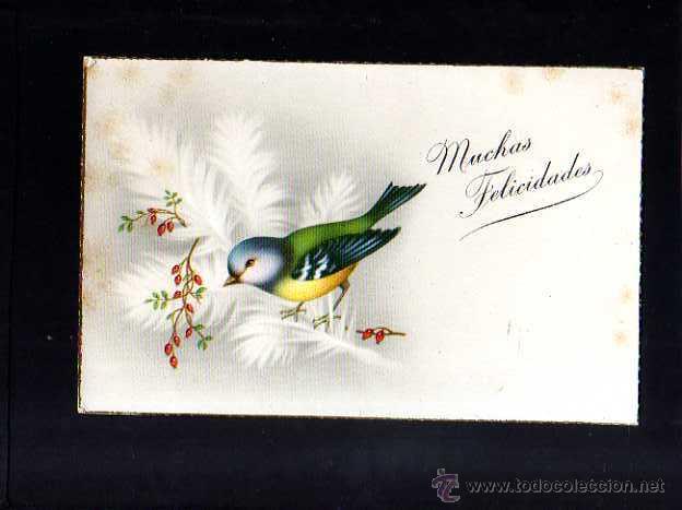 Postcards: Postal con p&aacute;jaros. Circulada