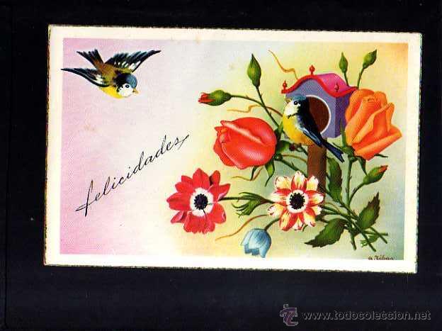 Postcards: Postal con p&aacute;jaros. Circulada
