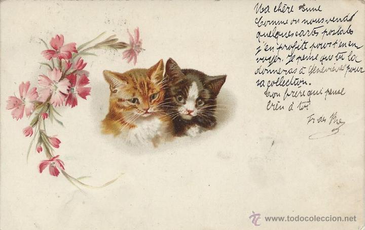 Postkarten: POSTAL FRANCESA GATITOS. 30 DICIEMBRE DE1900- ENERO DE 1901.