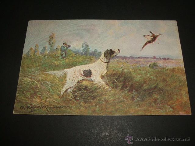 Postales: CAZA DEL FAISAN PERRO POSTAL ANTIGUA - Foto 1