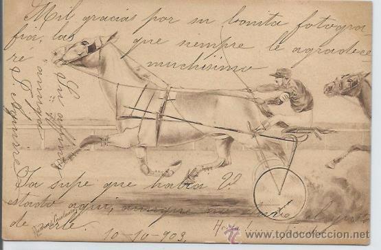 Postcards: POSTAL CARRERA DE CABALLOS 1903