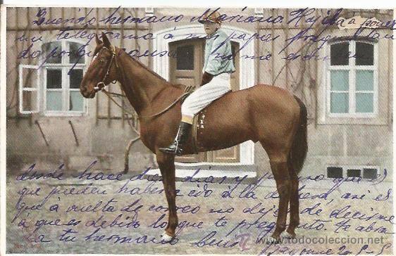 Postcards: POSTAL CABALLO 1905 FECHADA EN BAYONA