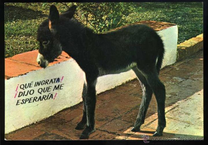 Postcards: N&ordm; 409 Espa&ntilde;a es diferente. &iexcl;Qu&eacute; ingrata! &iexcl;Dijo que me esperar&iacute;a! Ediciones Ro Foto.