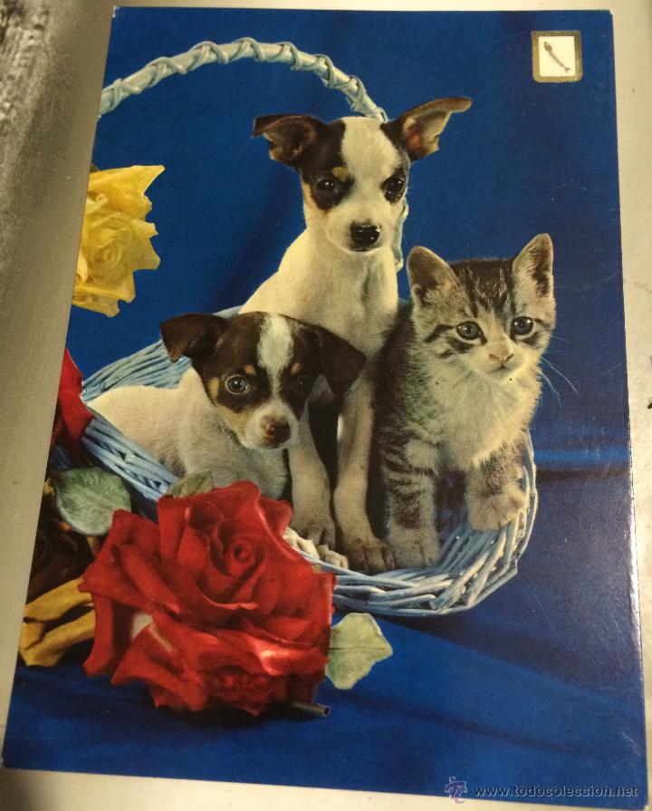 Postkarten: Postal con animalitos. A&ntilde;os 70. Sin uso.