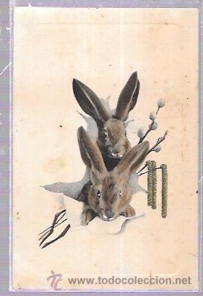 Postales: TARJETA POSTAL DE CONEJITOS. - Foto 1
