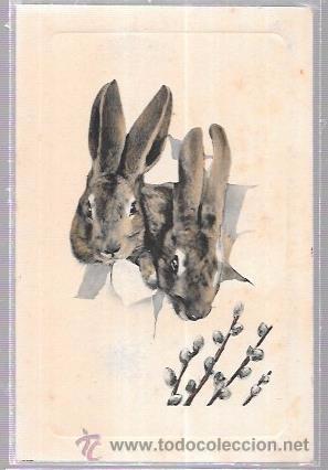 Postales: TARJETA POSTAL DE CONEJITOS. - Foto 1