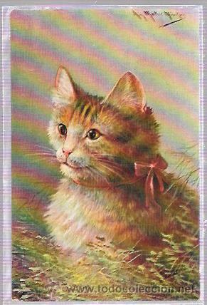 Postales: TARJETA POSTAL DE GATITO. - Foto 1