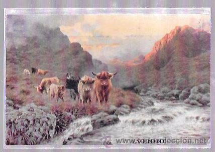 Postkarten: TARJETA POSTAL DE GANADO POR LA MONTA&Ntilde;A JUNTO A UN RIO.