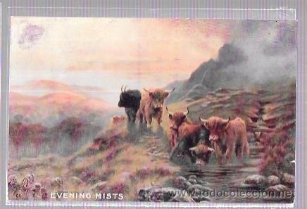 Postkarten: TARJETA POSTAL DE GANADO POR LA MONTA&Ntilde;A.
