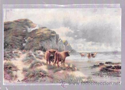 Postkarten: TARJETA POSTAL DE GANADO POR LA MONTA&Ntilde;A Y EN EL LAGO.
