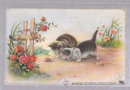 Postkarten: TARJETA POSTAL DE DOS GATITOS OBSERVANDO A UN CARACOL.