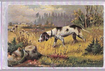 Postais: TARJETA POSTAL DE PERRO CAZADOR BUSCANDO A DOS PAJAROS.