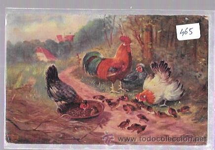 Postais: TARJETA POSTAL DE GALLINAS CON SUS POLLUELOS COMIENDO.