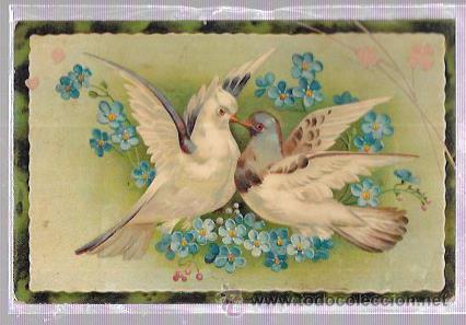 Postales: TARJETA POSTAL DE UNA PAREJA DE PALOMAS. - Foto 1