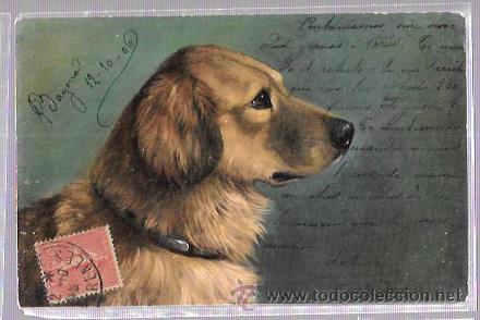 Postales: TARJETA POSTAL DE PERRO. - Foto 1
