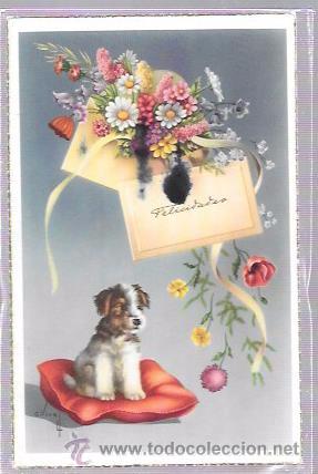 Postais: TARJETA POSTAL DE PERRITO SENTADO EN UN COJ&Iacute;N ROJO.